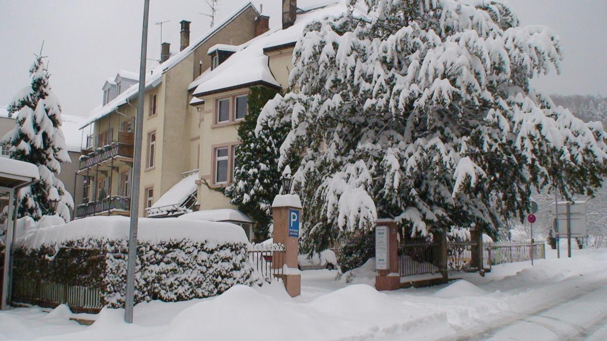Appartements Am Festspielhaus Baden-Baden Zewnętrze zdjęcie